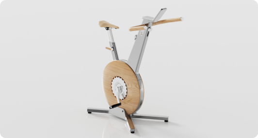 Luxury Indoor Bike Angled Back